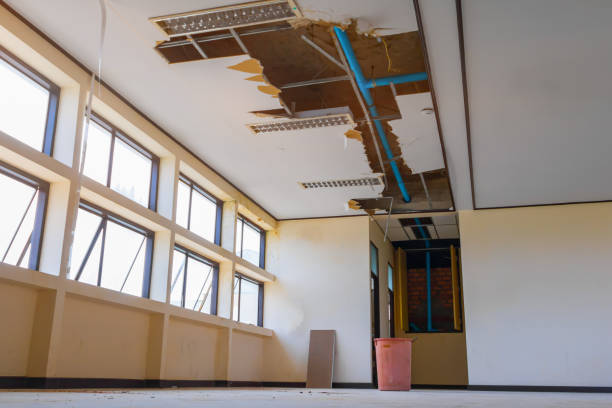 Best Professional water damage repair  in Browns Point, WA