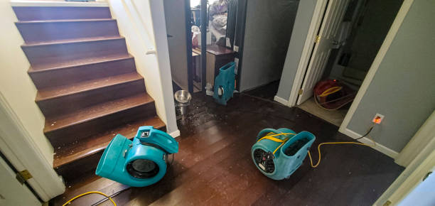 Best Residential water damage restoration  in Browns Point, WA