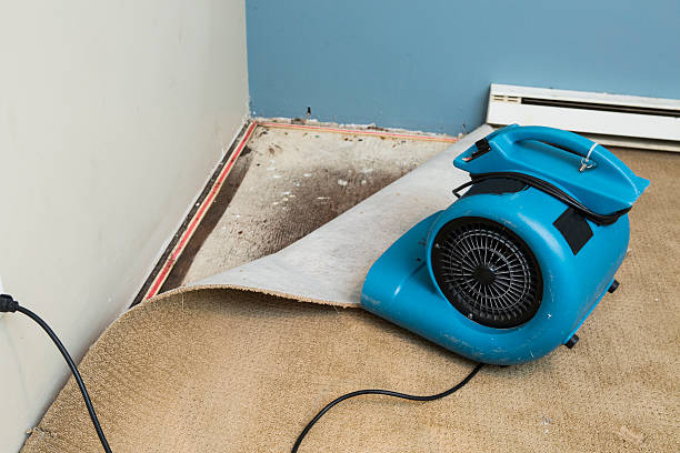 Best Water damage restoration near me  in Browns Point, WA